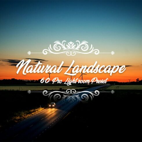 60 Natural Landscape Presetcover image.