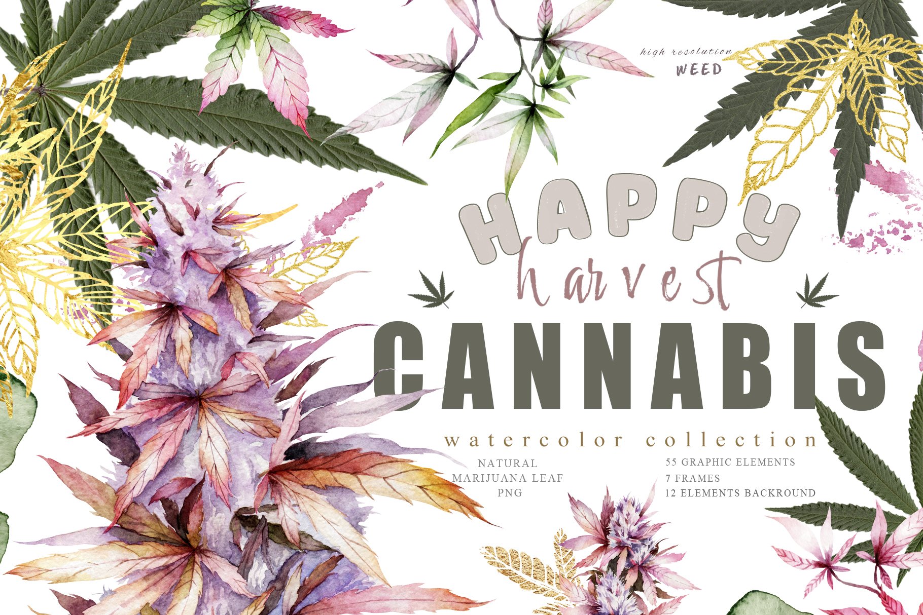 Cannabis. Marijuana harvest set. cover image.