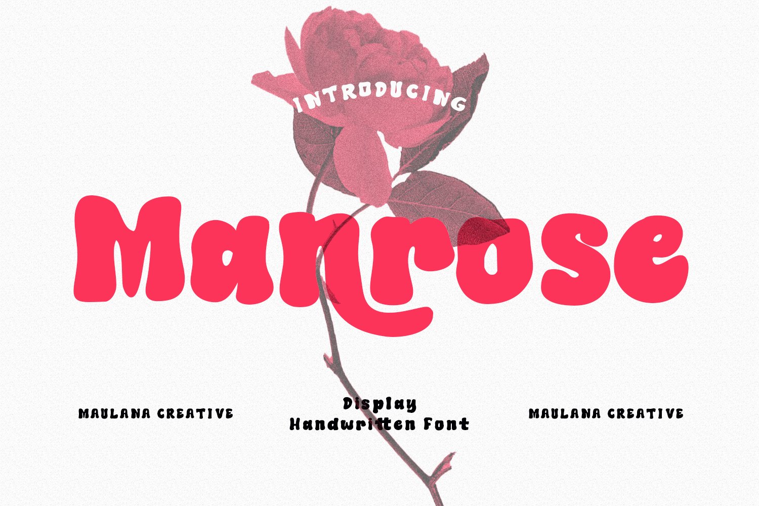 Manrose Handwritten Font cover image.