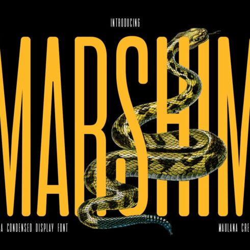 Marshim Sans Serif Display Fontcover image.