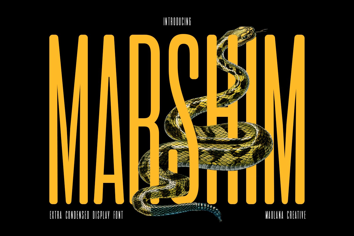 Marshim Sans Serif Display Fontcover image.