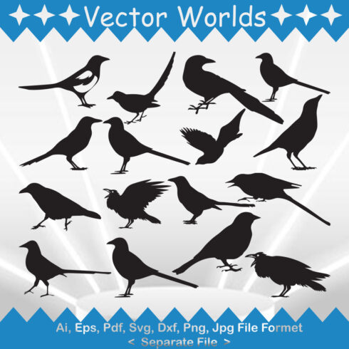 Magpie Bird SVG Vector Design cover image.