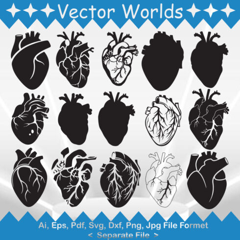 Human Heart SVG Vector Design cover image.