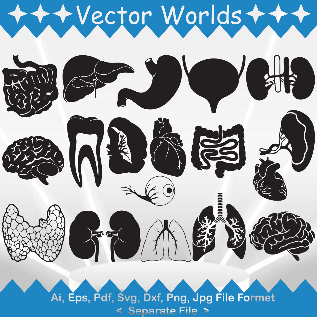 Human Organs SVG Vector Design preview image.