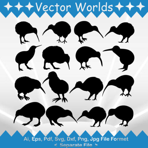 Kiwi SVG Vector Design cover image.