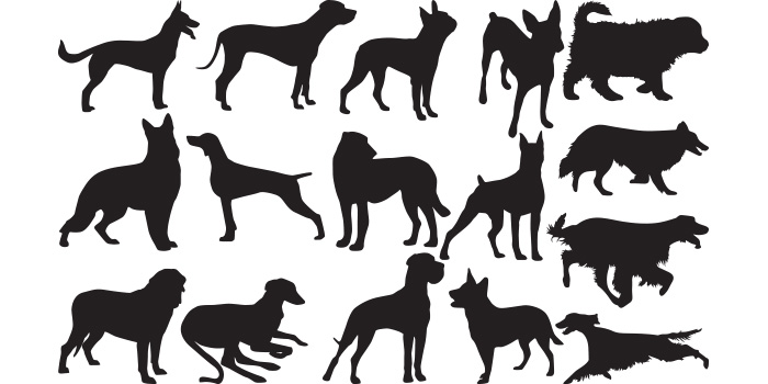 Set of dogs silhouettes on a white background.
