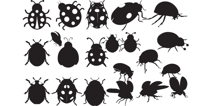 Group of bugs silhouettes on a white background.