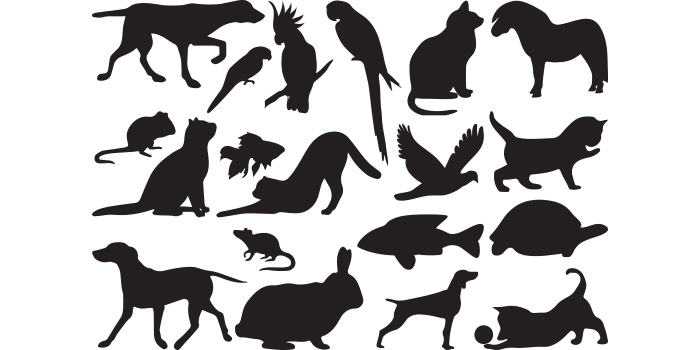 Set of silhouettes of dogs and cats.