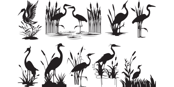Set of silhouettes of birds in water and reeds.