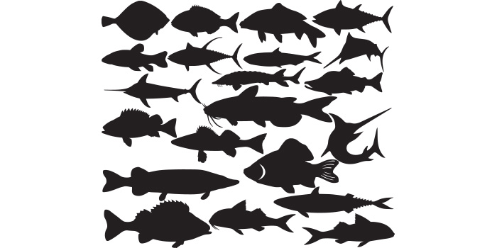 Group of fish silhouettes on a white background.