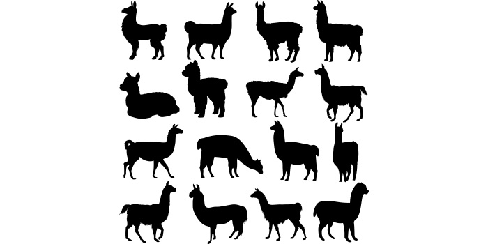 Collection of llama silhouettes on a white background.