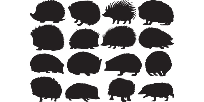 Set of hedgehogs silhouettes on a white background.