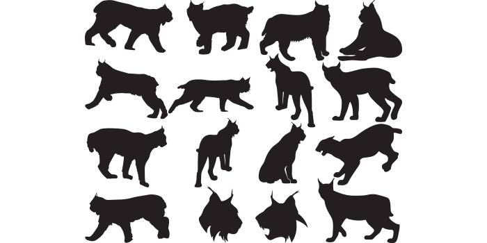 Set of dogs silhouettes on a white background.