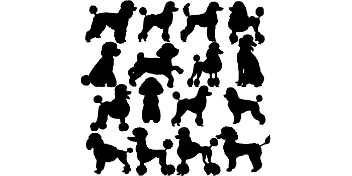 Bunch of silhouettes of people and dogs.