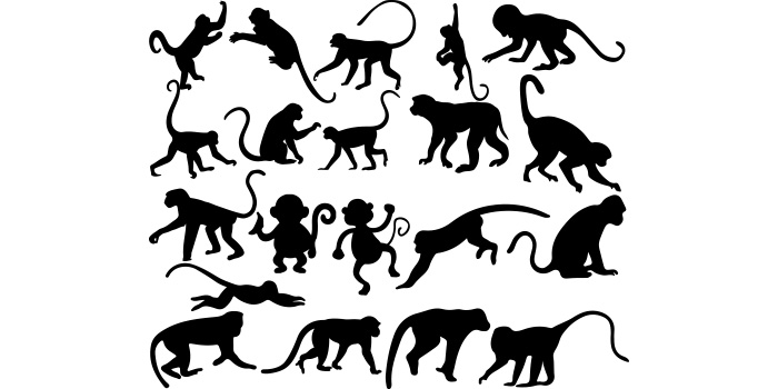 Collection of monkey silhouettes on a white background.