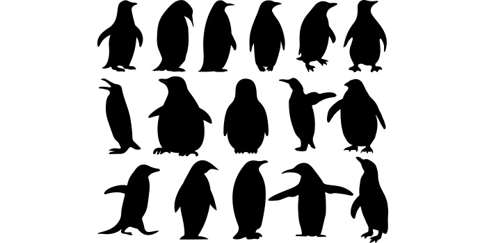 Group of penguins silhouettes on a white background.
