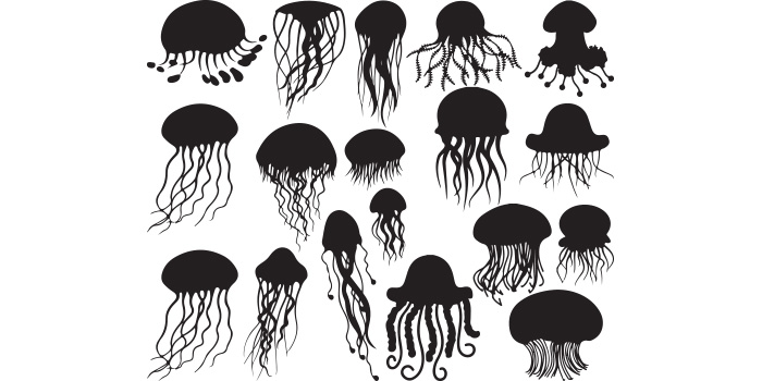 Group of jellyfish silhouettes on a white background.
