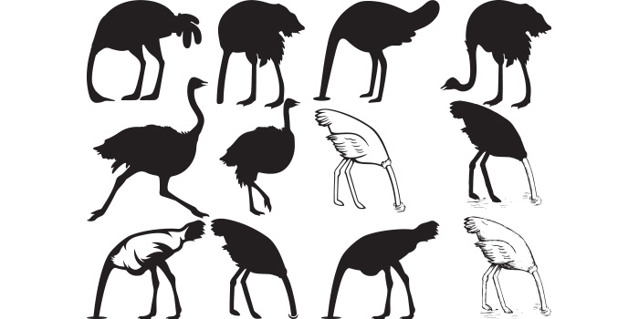 The silhouettes of ostriches in different poses.
