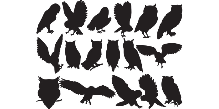 Set of silhouettes of different kinds of birds.