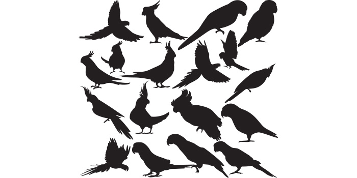 Bunch of birds that are standing in the air.