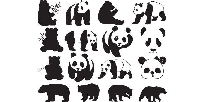 Bunch of pandas that are standing up.