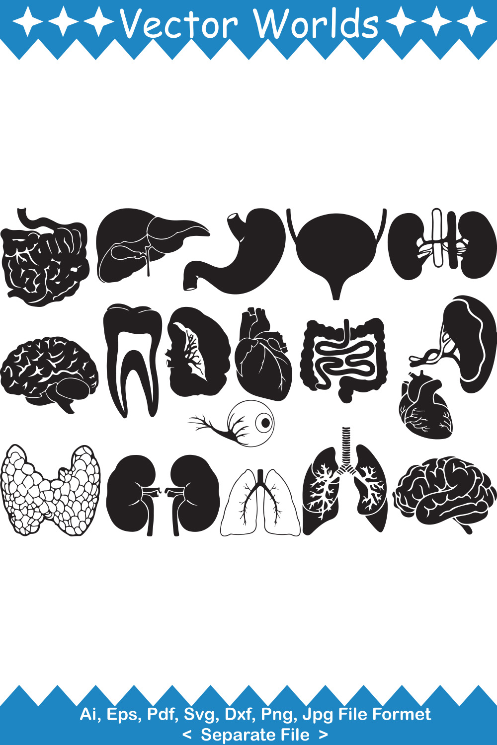 Human Organs SVG Vector Design pinterest preview image.