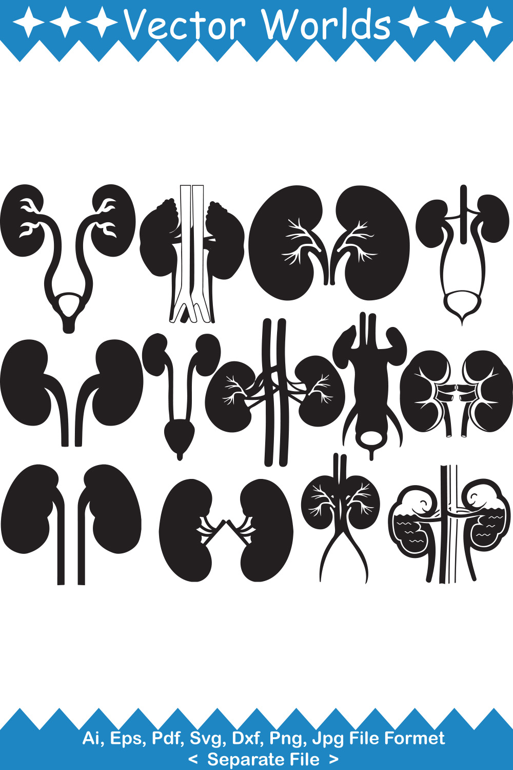 Kidney SVG Vector Design pinterest preview image.