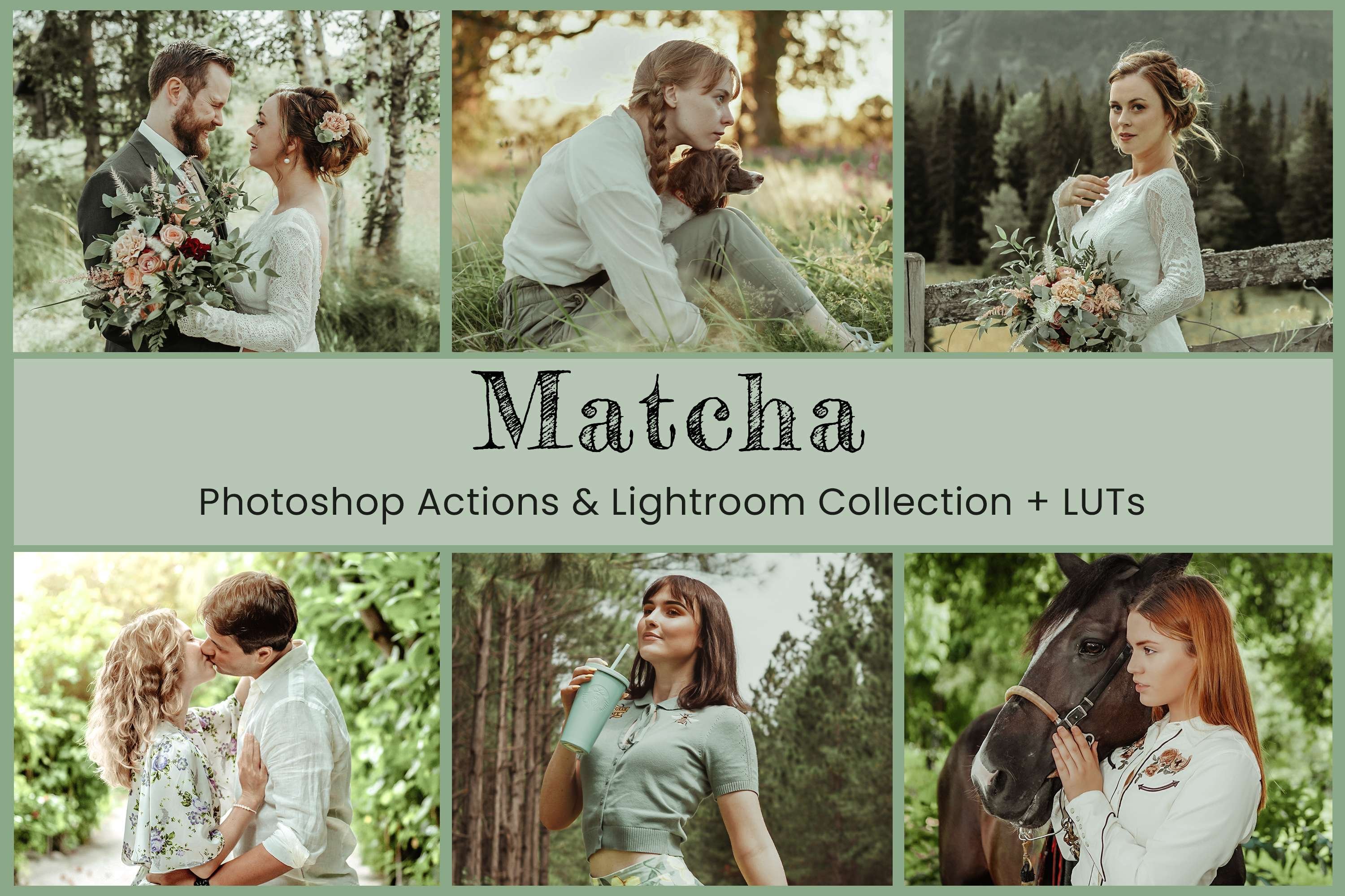 matcha main poster 736