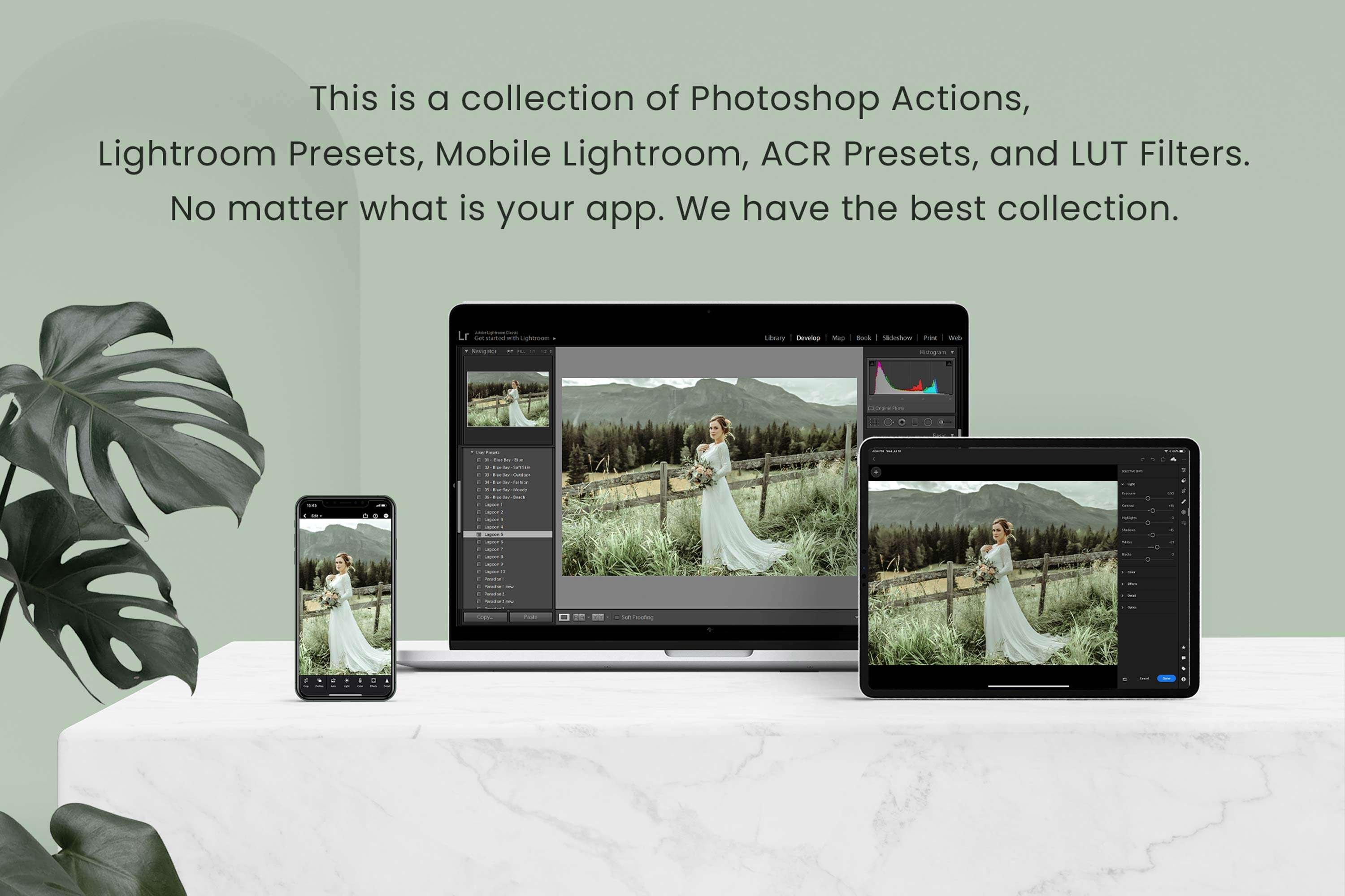 Matcha Lightroom Presets Desktoppreview image.