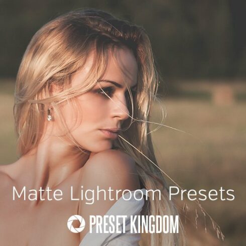 Matte Lightroom Presetscover image.