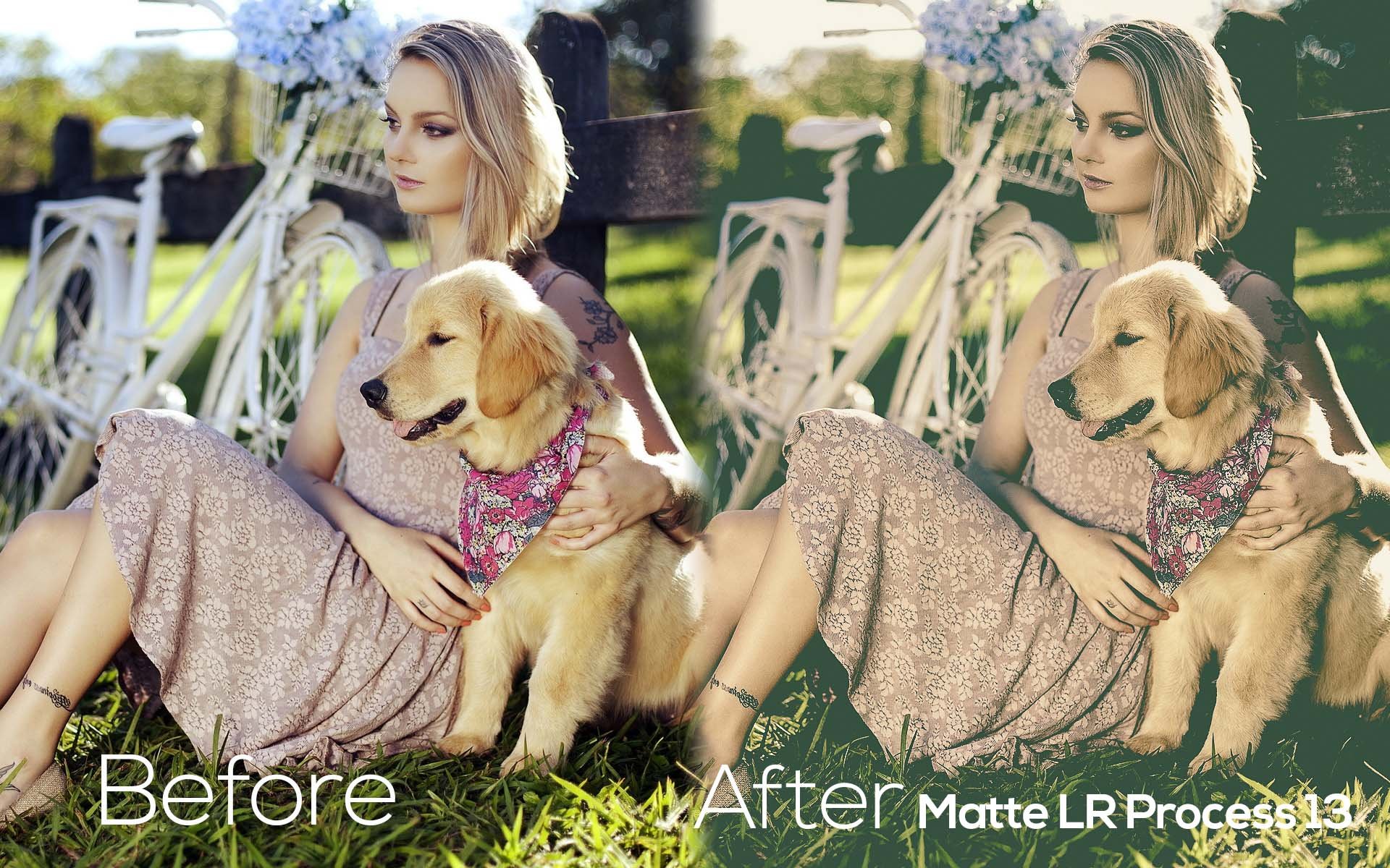 matte lr process 13 877