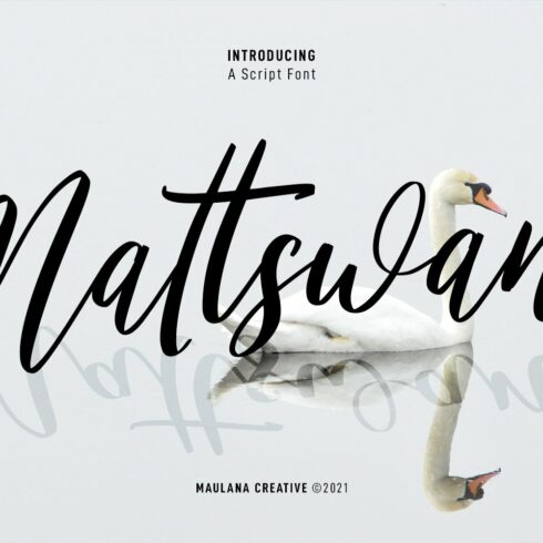 Mattswans Script Font cover image.