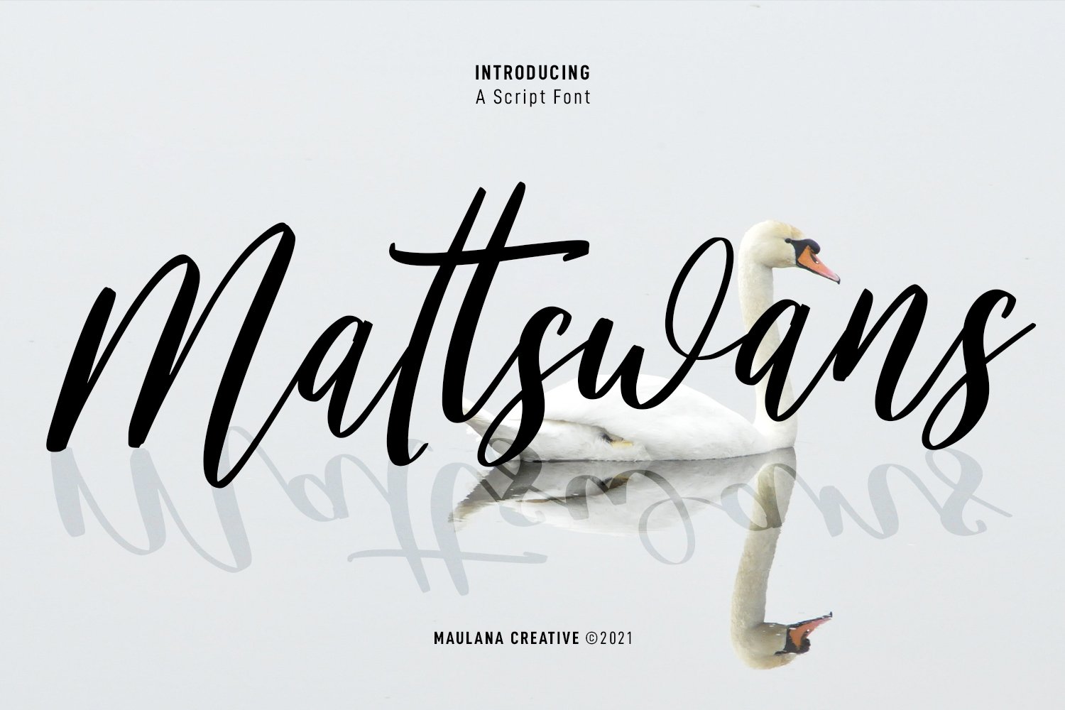 Mattswans Script Font cover image.