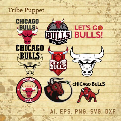Chicago Bulls Logo Vector set cover image.