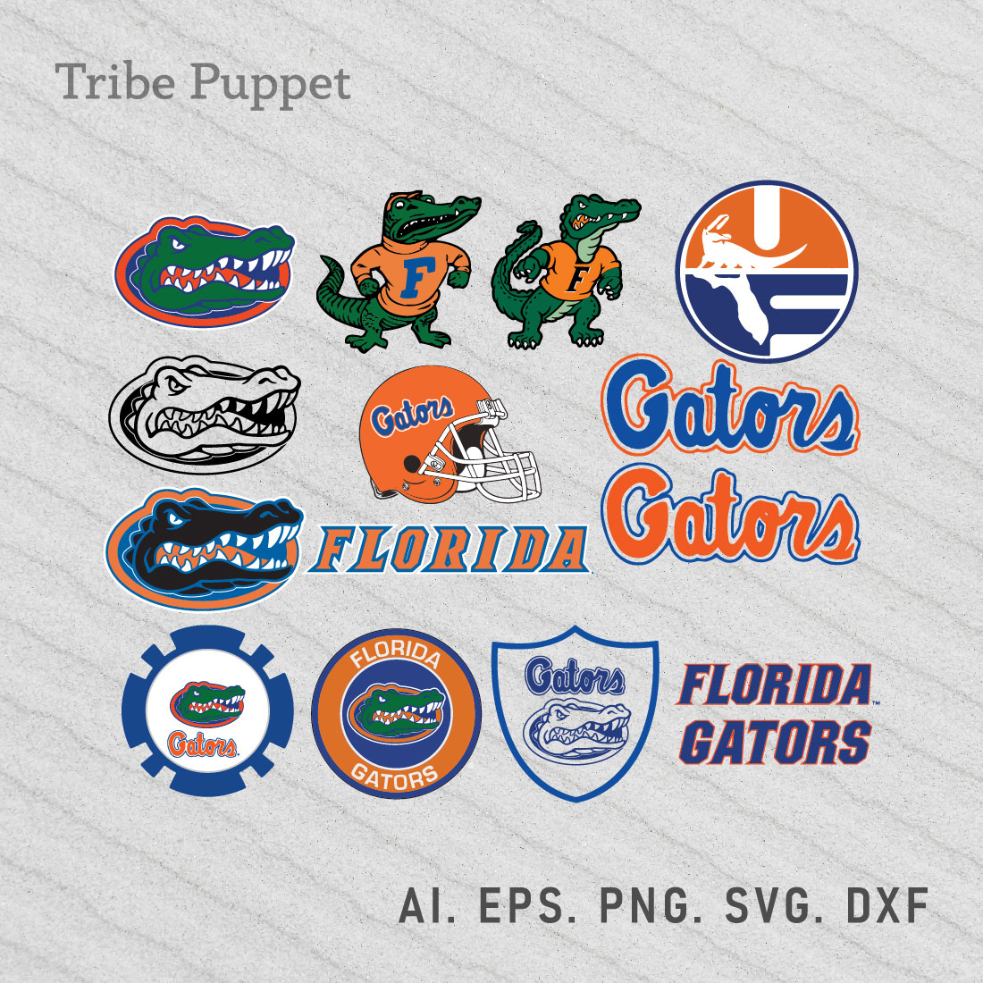 Florida Gators SVG Set preview image.