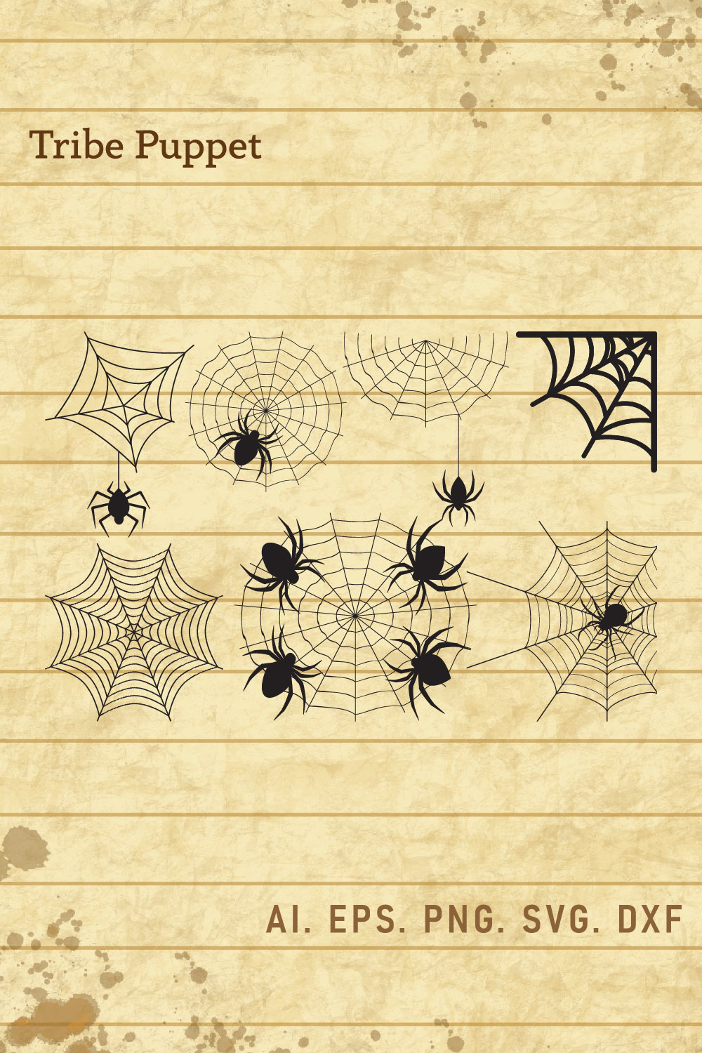 Drawing of spider webs on a piece of paper.