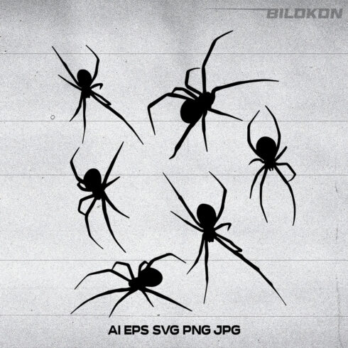 Spider silhouette set, SVG Vector cover image.