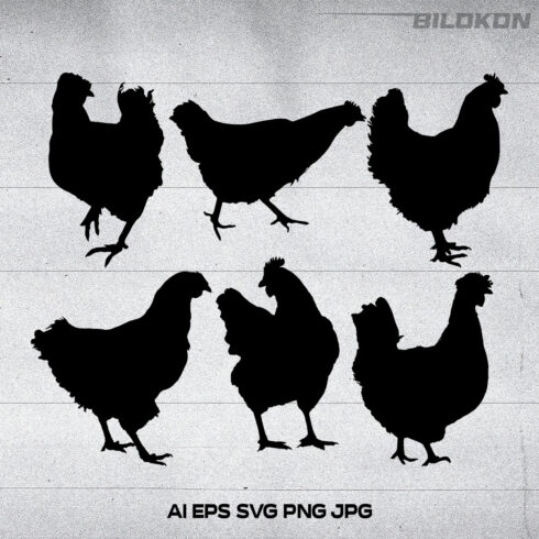 Group of chicken silhouettes on a white background.