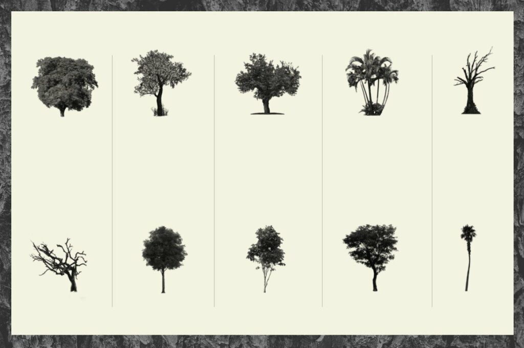 30 Tree Photoshop Brushes – MasterBundles