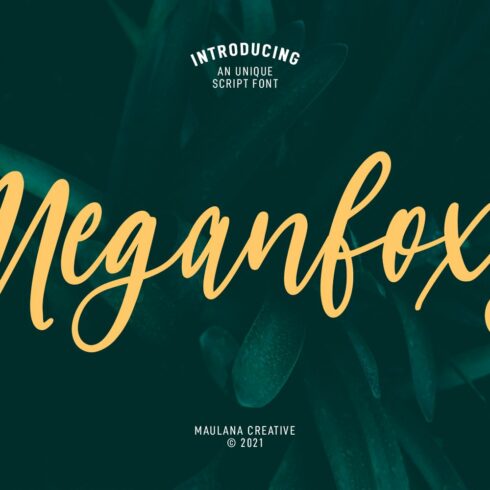 Meganfoxy Script Font cover image.