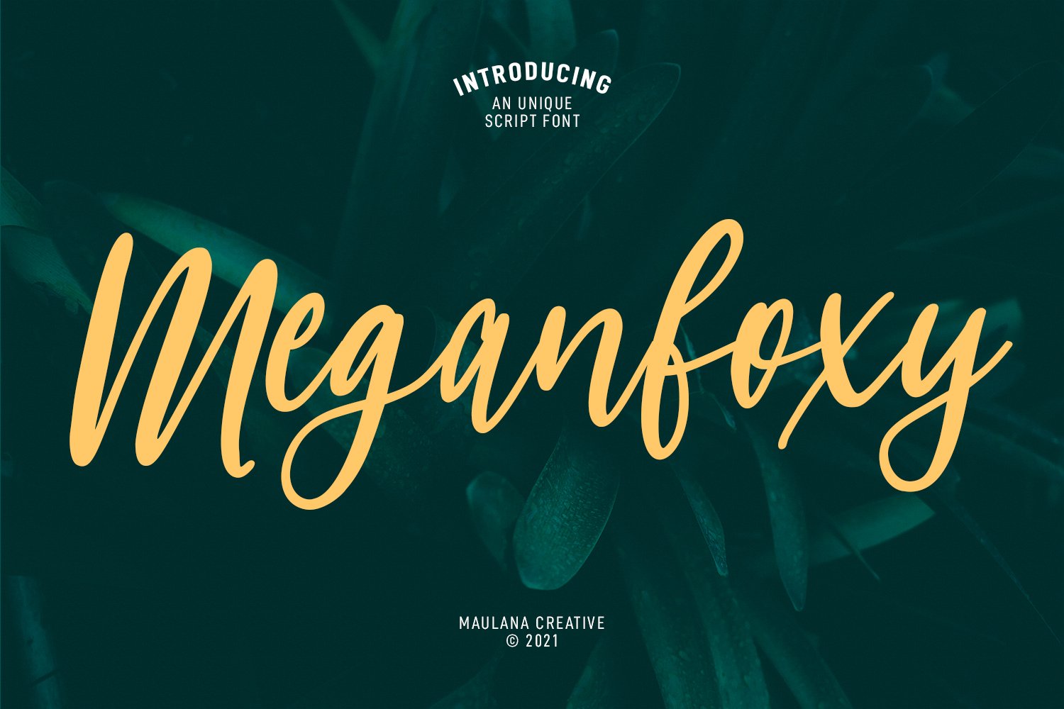 Meganfoxy Script Font cover image.