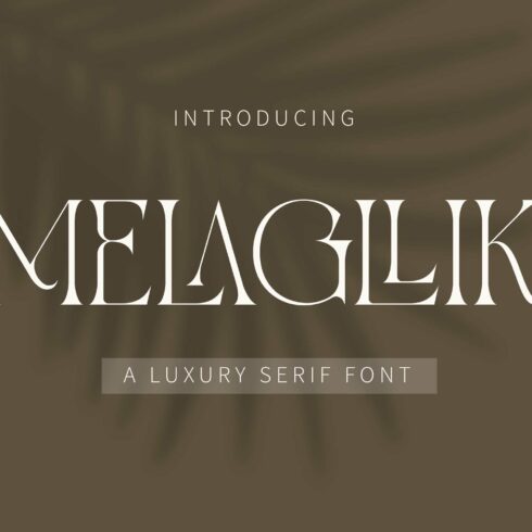 MELAGLLIK MODERN SERIF cover image.