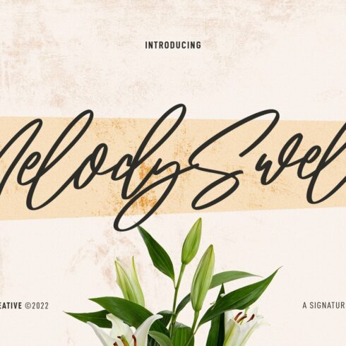 Melody Swell Script Font cover image.