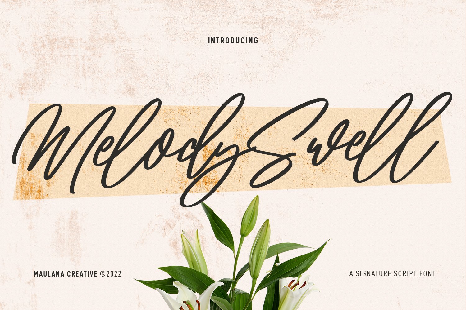 Melody Swell Script Font cover image.