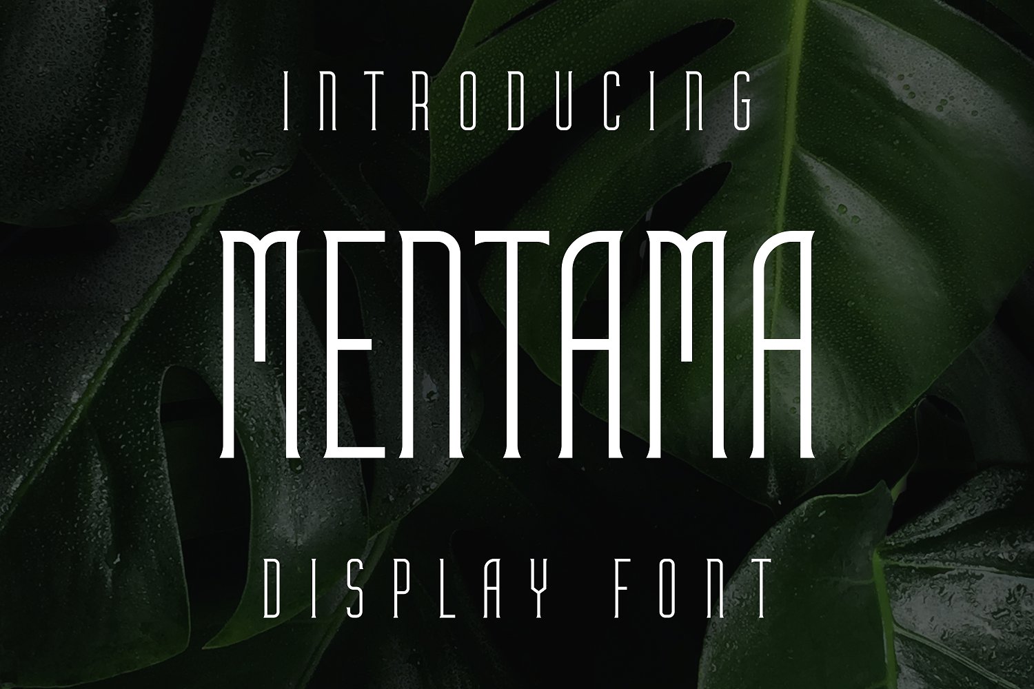 mentama preview 1 619