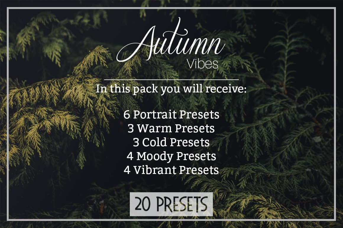 Autumn Vibes - Lightroom Presetspreview image.