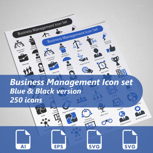 Business Management Icon Set cover image.
