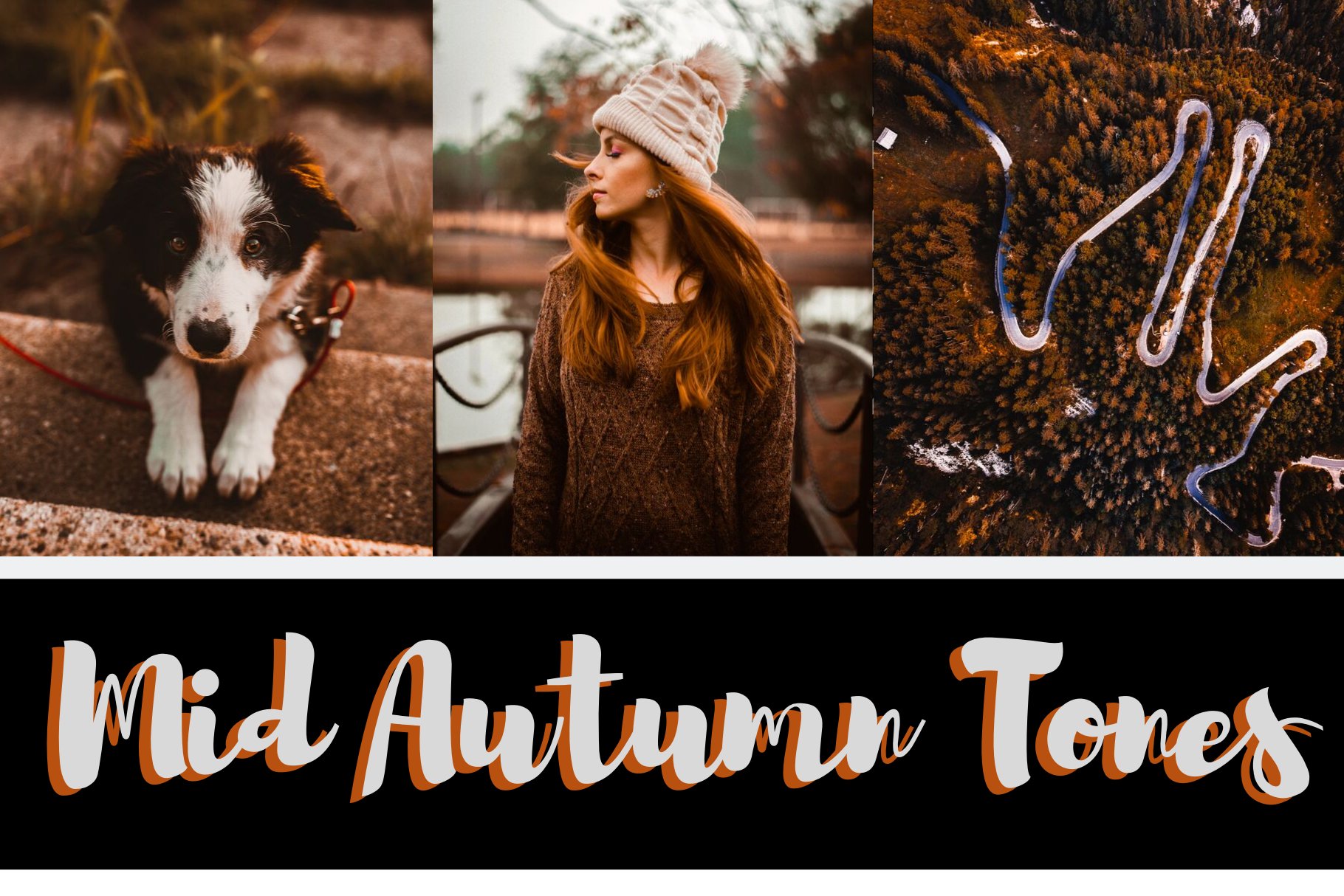 Autumn Lightroom Presets XMP/DNGcover image.