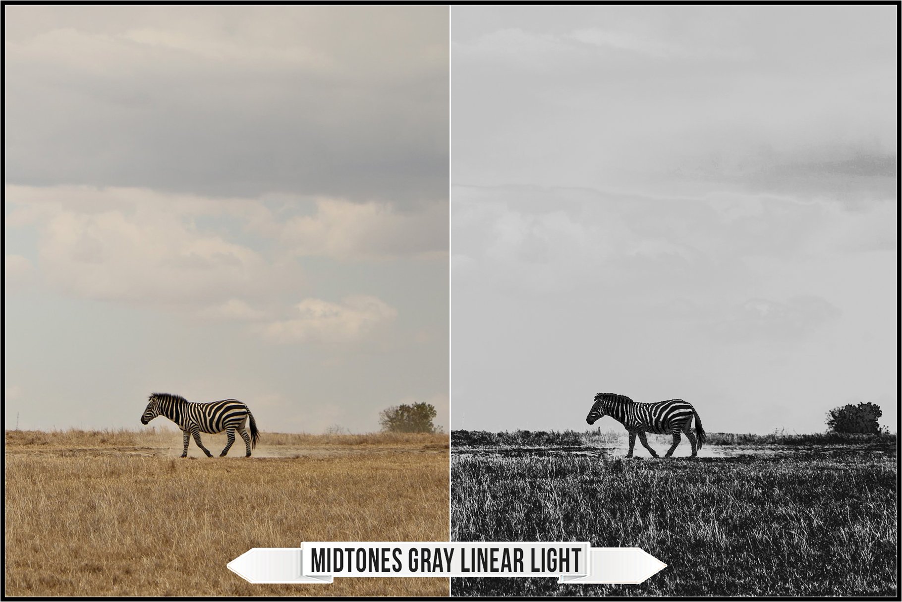 midtones gray linear light 107