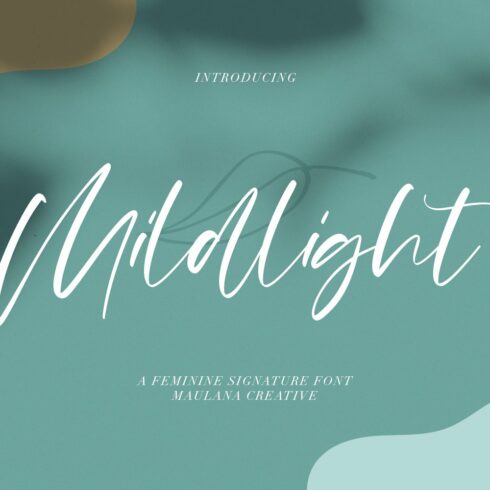 Mildlight Feminine Signature Font cover image.